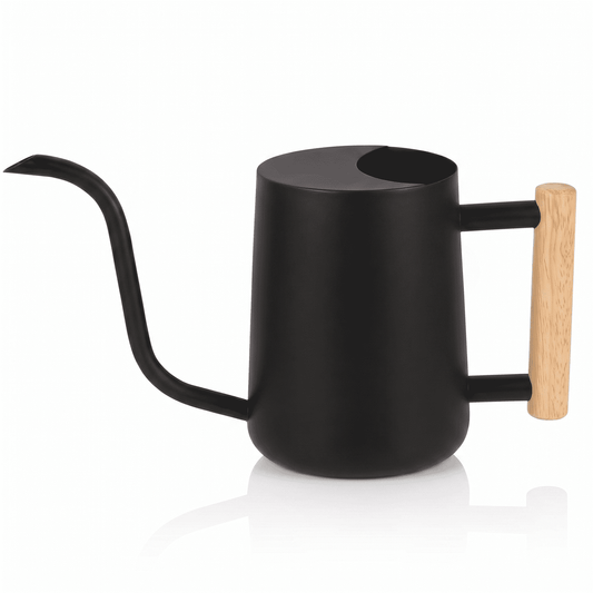 Long-Spout Watering Can for Houseplants, 35 oz Stainless Steel, Black